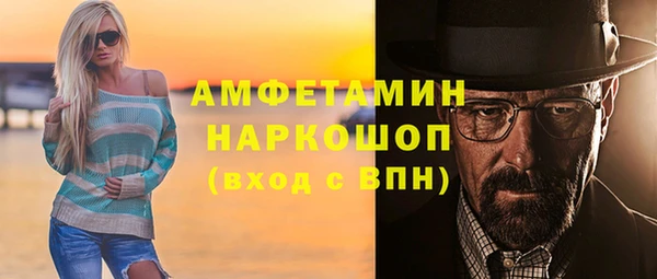 PSILOCYBIN Аркадак