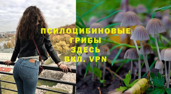 PSILOCYBIN Аркадак