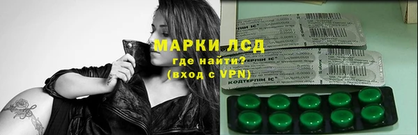 PSILOCYBIN Аркадак