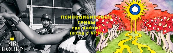 PSILOCYBIN Аркадак