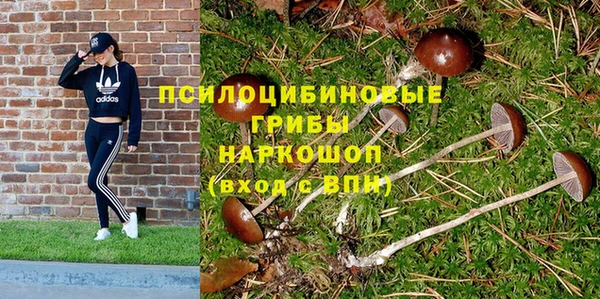винт Армянск