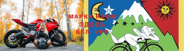 PSILOCYBIN Аркадак