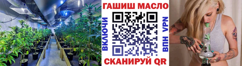 ТГК гашишное масло  shop как зайти  Избербаш 