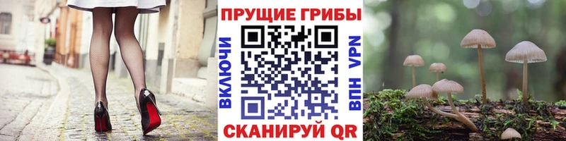 Псилоцибиновые грибы ЛСД  Избербаш 